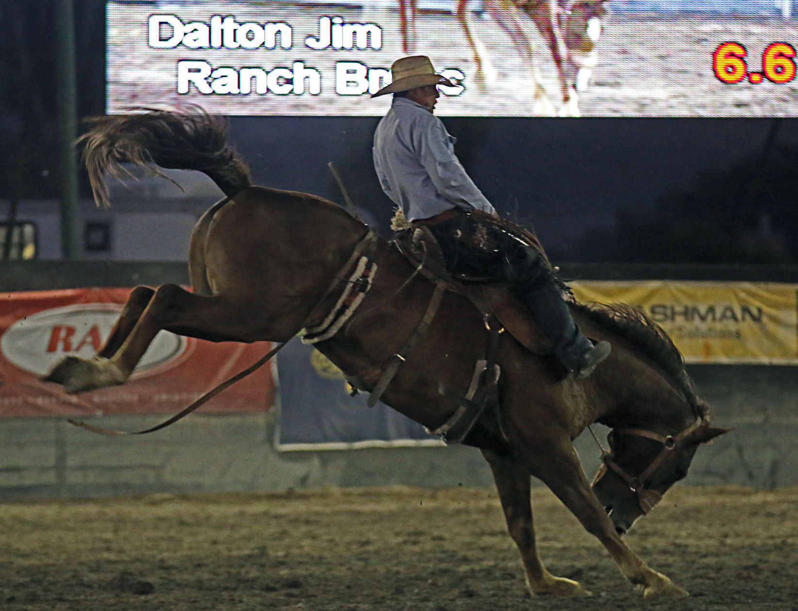 Dalton Jim